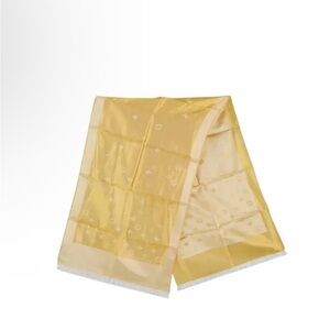 Louis Vuitton Scarf